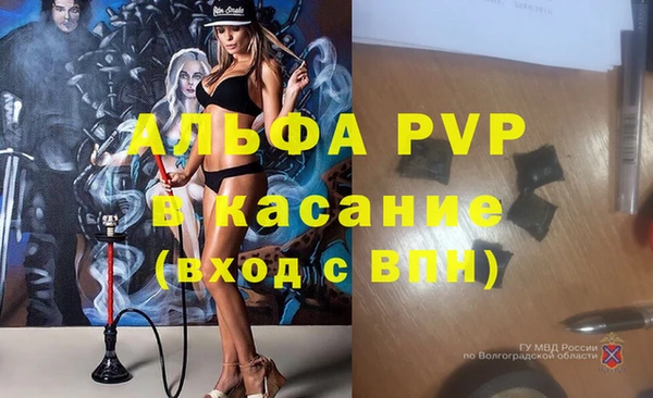 мяу мяу мука Абинск