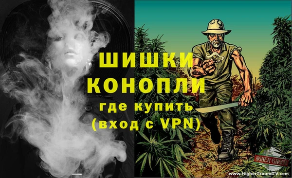PSILOCYBIN Осташков