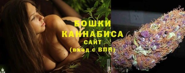 PSILOCYBIN Осташков